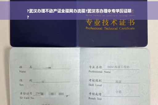 ?武汉办理不动产证全程网办流程?武汉市办理中专学历证明
?
