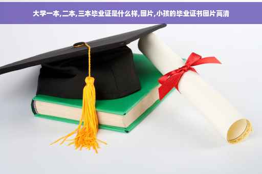 大学一本,二本,三本毕业证是什么样,图片,小孩的毕业证书图片高清