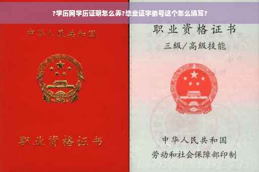 ?学历网学历证明怎么弄?毕业证字弟号这个怎么填写?