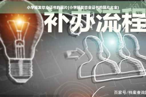 小学颁发毕业证书的图片(小学颁发毕业证书的图片大全)
