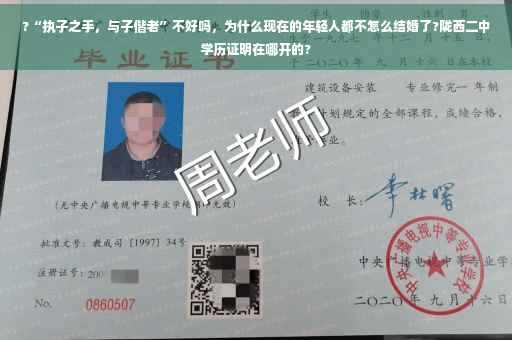 ?“执子之手，与子偕老”不好吗，为什么现在的年轻人都不怎么结婚了?陇西二中学历证明在哪开的?