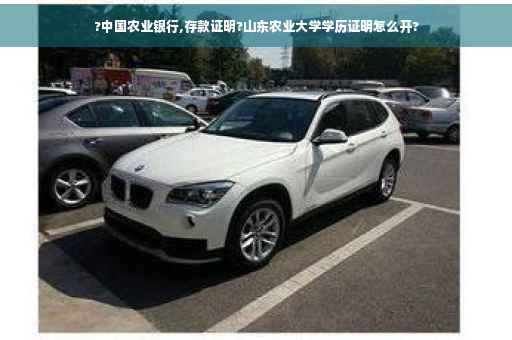 ?中国农业银行,存款证明?山东农业大学学历证明怎么开?