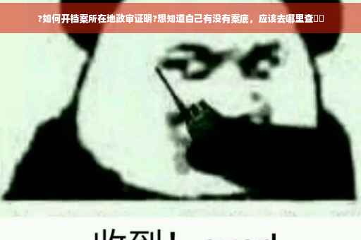 ?如何开档案所在地政审证明?想知道自己有没有案底，应该去哪里查⚡️