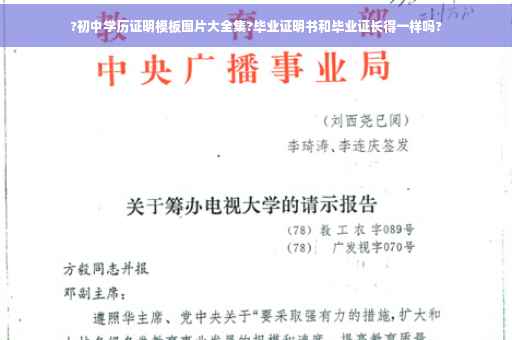 ?初中学历证明模板图片大全集?毕业证明书和毕业证长得一样吗?