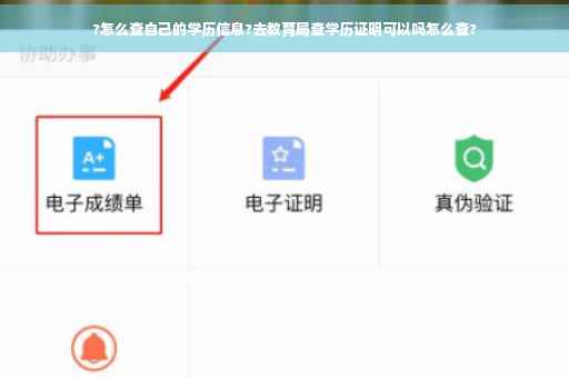 ?怎么查自己的学历信息?去教育局查学历证明可以吗怎么查?