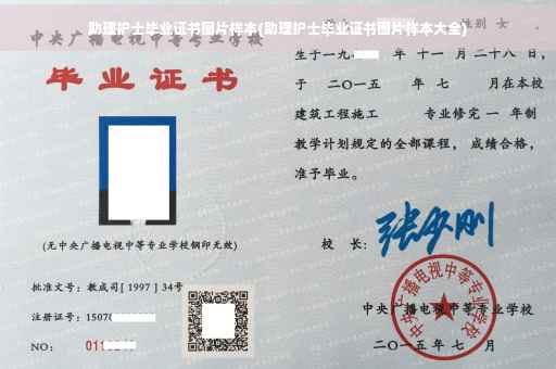 助理护士毕业证书图片样本(助理护士毕业证书图片样本大全)