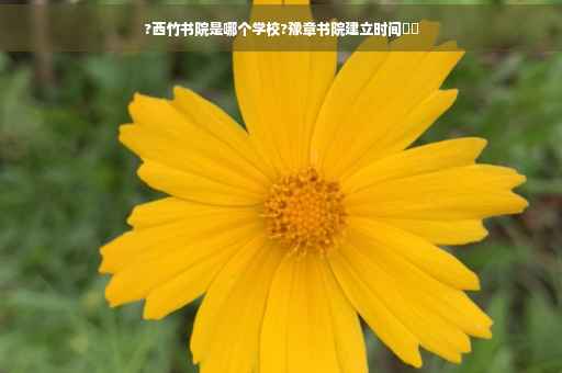 ?西竹书院是哪个学校?豫章书院建立时间⚡️