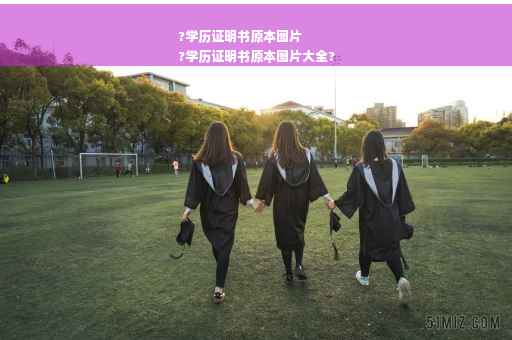 ?学历证明书原本图片
?学历证明书原本图片大全?