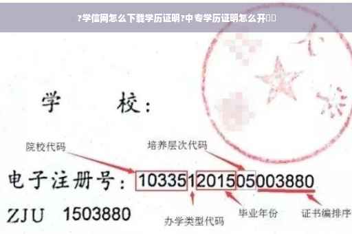 ?学信网怎么下载学历证明?中专学历证明怎么开⚡️