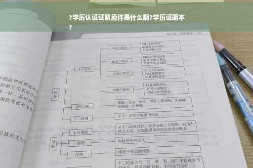?学历认证证明原件是什么啊?学历证明本
?