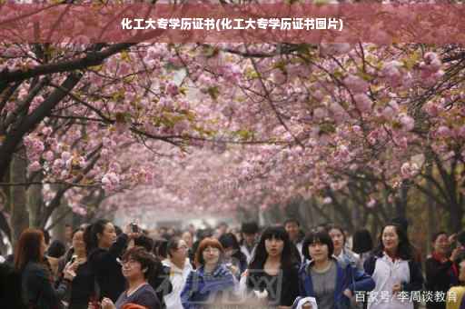 化工大专学历证书(化工大专学历证书图片)