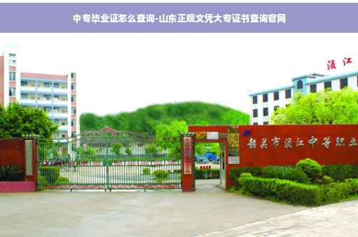 中专毕业证怎么查询-山东正规文凭大专证书查询官网