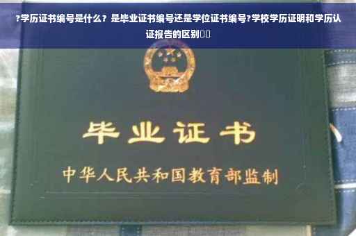 ?学历证书编号是什么？是毕业证书编号还是学位证书编号?学校学历证明和学历认证报告的区别⚡️