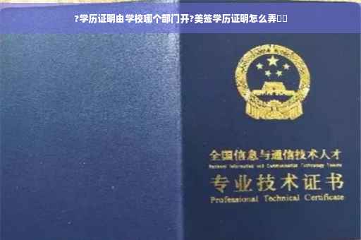 ?学历证明由学校哪个部门开?美签学历证明怎么弄⚡️