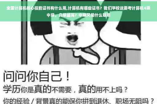 全国计算机核心技能证书有什么用,计算机有哪些证书？我们学校说要考计算机4级中级。几级最高？中级又是什么意思