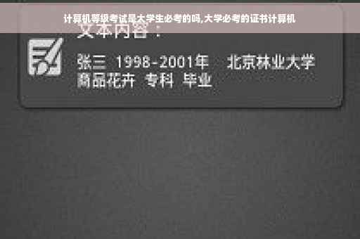 计算机等级考试是大学生必考的吗,大学必考的证书计算机