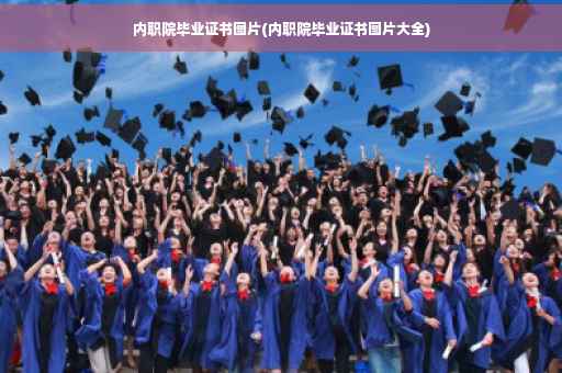 内职院毕业证书图片(内职院毕业证书图片大全)