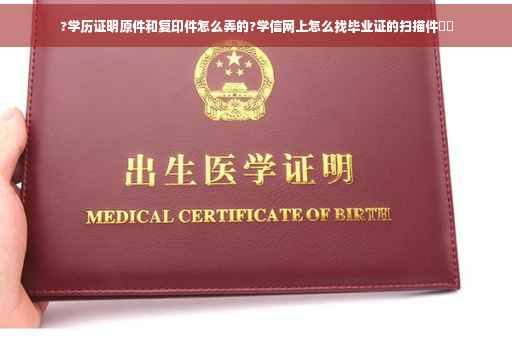 ?学历证明原件和复印件怎么弄的?学信网上怎么找毕业证的扫描件⚡️