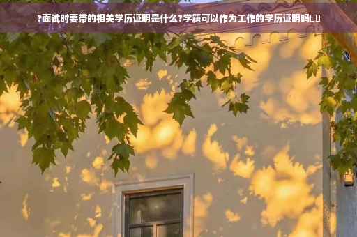 ?面试时要带的相关学历证明是什么?学籍可以作为工作的学历证明吗⚡️