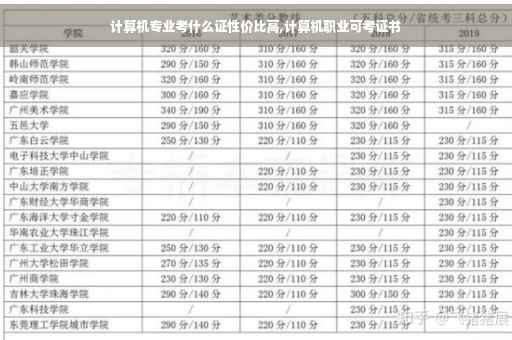 计算机专业考什么证性价比高,计算机职业可考证书