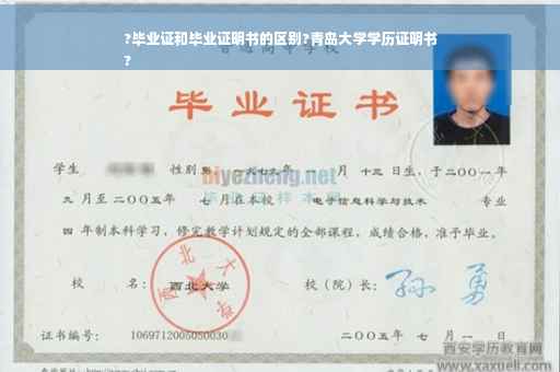 ?毕业证和毕业证明书的区别?青岛大学学历证明书
?