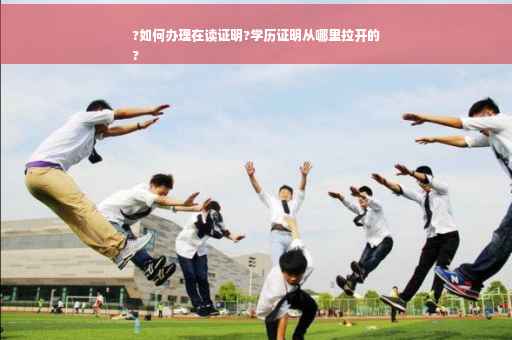 ?如何办理在读证明?学历证明从哪里拉开的
?