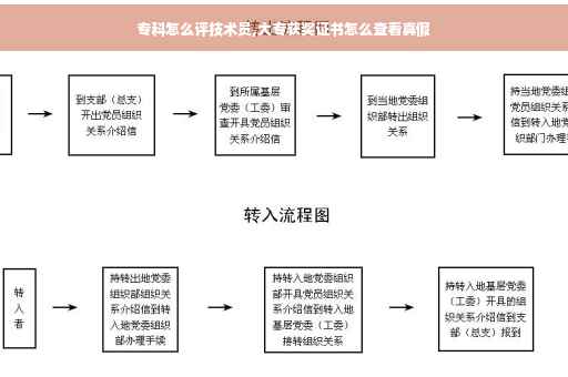 专科怎么评技术员,大专获奖证书怎么查看真假