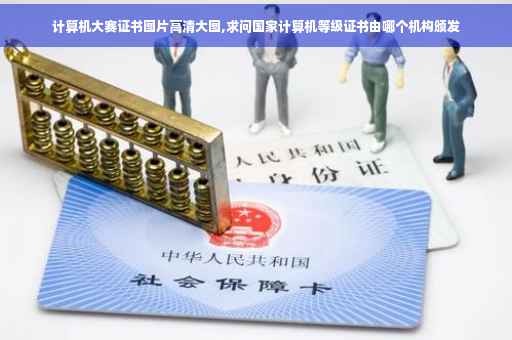 计算机大赛证书图片高清大图,求问国家计算机等级证书由哪个机构颁发
