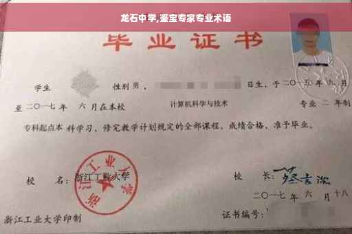 龙石中学,鉴宝专家专业术语