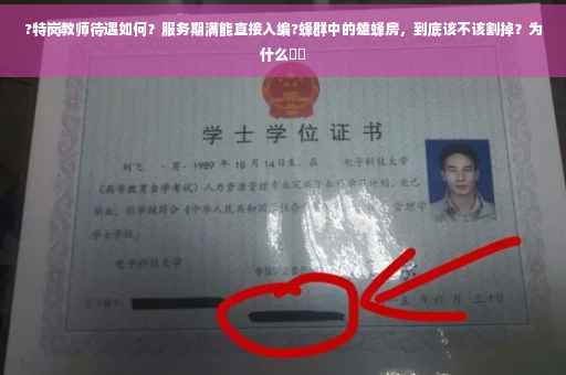 ?特岗教师待遇如何？服务期满能直接入编?蜂群中的雄蜂房，到底该不该割掉？为什么⚡️