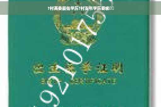 ?村两委最低学历?村支书学历要求⚡️