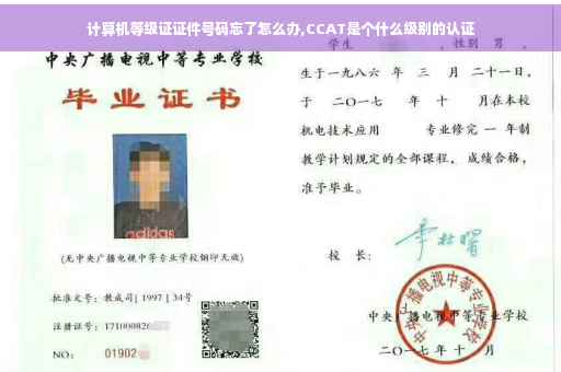 计算机等级证证件号码忘了怎么办,CCAT是个什么级别的认证