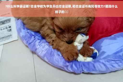 ?什么叫学籍证明?毕业学校为学生开出毕业证明,和毕业证书有同等效力?那是什么样子的⚡️