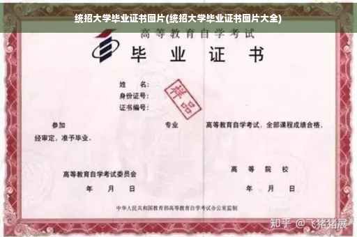 统招大学毕业证书图片(统招大学毕业证书图片大全)