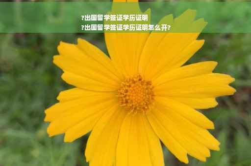 ?出国留学签证学历证明
?出国留学签证学历证明怎么开?