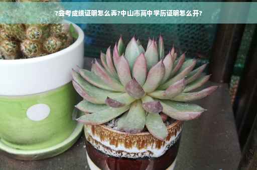 ?会考成绩证明怎么弄?中山市高中学历证明怎么开?