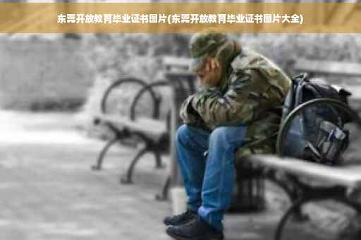 东莞开放教育毕业证书图片(东莞开放教育毕业证书图片大全)