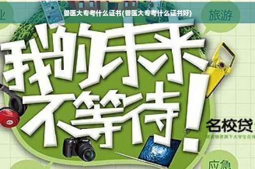 兽医大专考什么证书(兽医大专考什么证书好)
