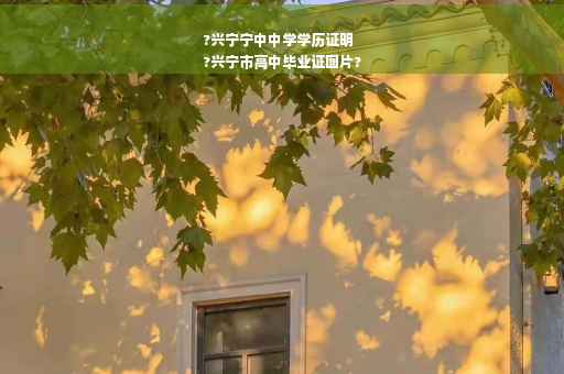 ?兴宁宁中中学学历证明
?兴宁市高中毕业证图片?
