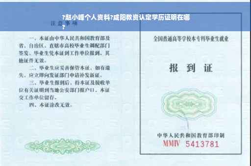 ?赵小峰个人资料?咸阳教资认定学历证明在哪
?