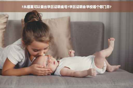 ?从哪里可以查出学历证明编号?学历证明由学校哪个部门开?