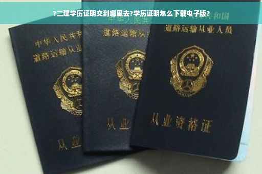 ?二建学历证明交到哪里去?学历证明怎么下载电子版?