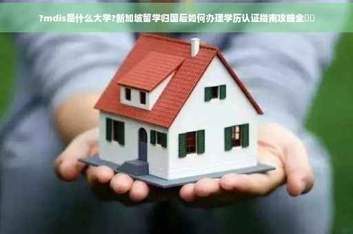 ?mdis是什么大学?新加坡留学归国后如何办理学历认证指南攻略全⚡️