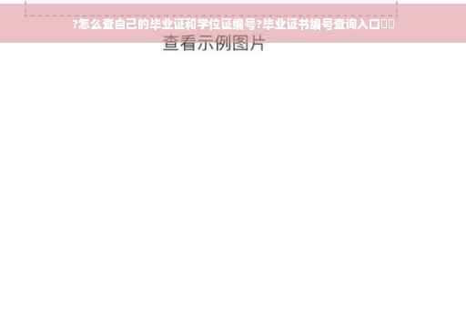 ?怎么查自己的毕业证和学位证编号?毕业证书编号查询入口⚡️