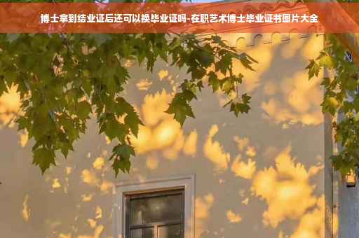博士拿到结业证后还可以换毕业证吗-在职艺术博士毕业证书图片大全