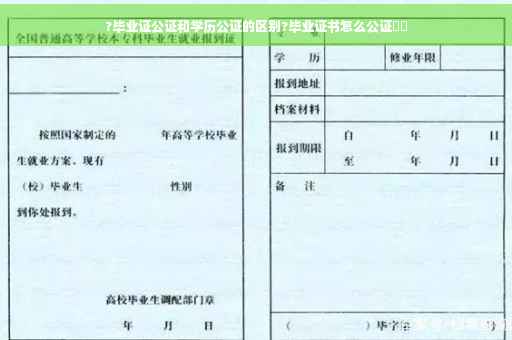 ?毕业证公证和学历公证的区别?毕业证书怎么公证⚡️