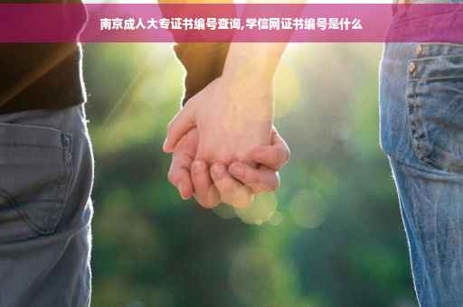 南京成人大专证书编号查询,学信网证书编号是什么