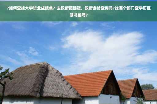 ?如何查找大学毕业成绩单？去政府调档案，政府会给查询吗?找哪个部门查学历证明书编号?