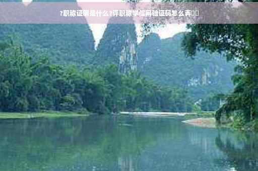 ?职称证明是什么?评职称学信网验证码怎么弄⚡️