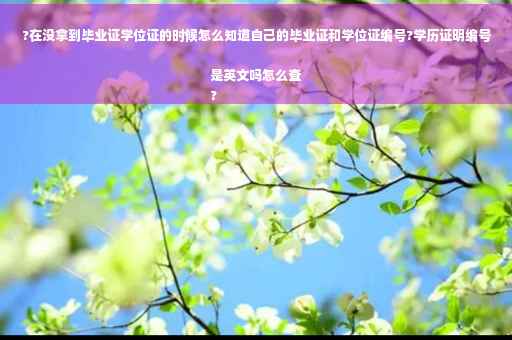 ?在没拿到毕业证学位证的时候怎么知道自己的毕业证和学位证编号?学历证明编号是英文吗怎么查
?